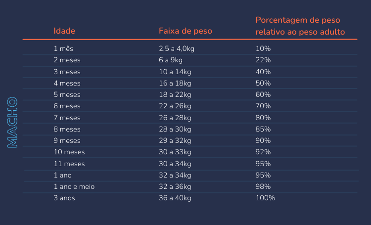 Tabela de desenvolvimento do Pastor Alemão Macho